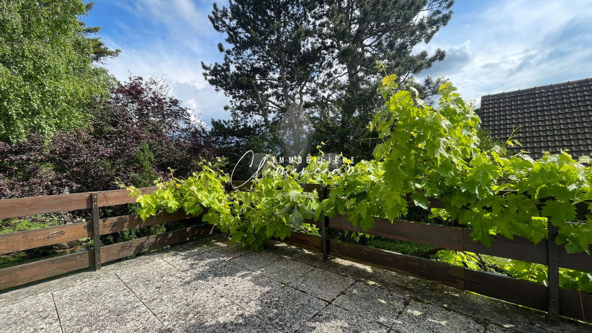 Maison à VILLENNES-SUR-SEINE