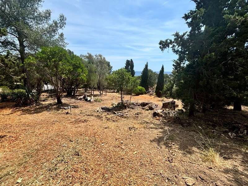 Maison à LES ISSAMBRES