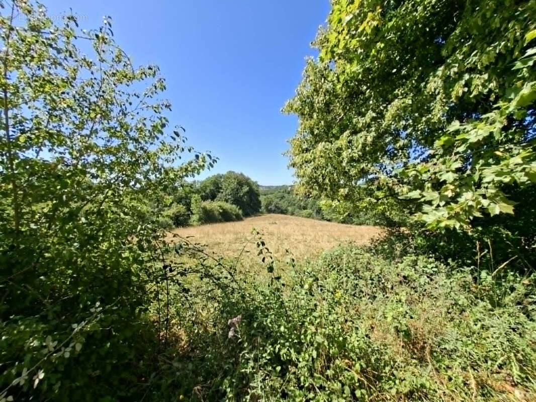 Corps de ferme des années 70 avec dépendances et 5 Hectares de terres et bois d'un seul tenant. - photo 10