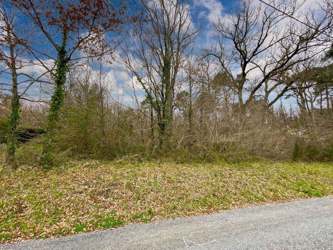 Terrain à SAINT-GERMAIN-DU-SALEMBRE