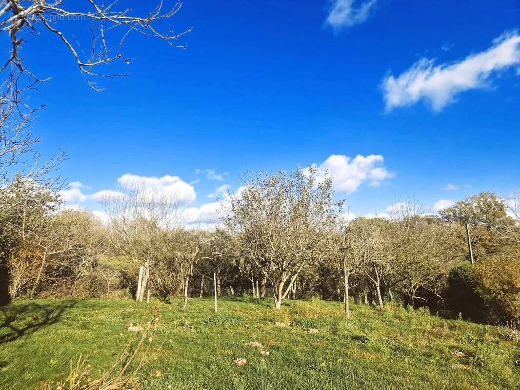 Maison à LA SALVETAT-PEYRALES