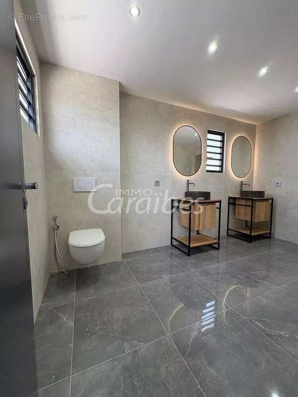 Maison à SAINT-MARTIN