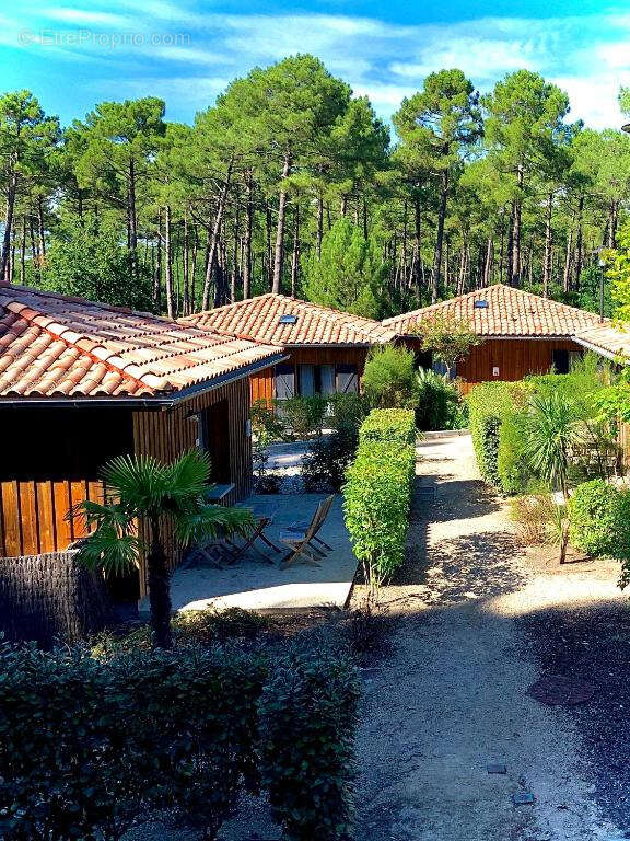 Investissement en residence de Tourisme - photo 6