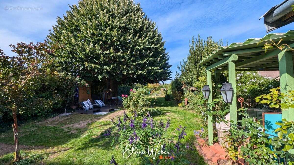 Photo 4 - Maison à LA FLECHE