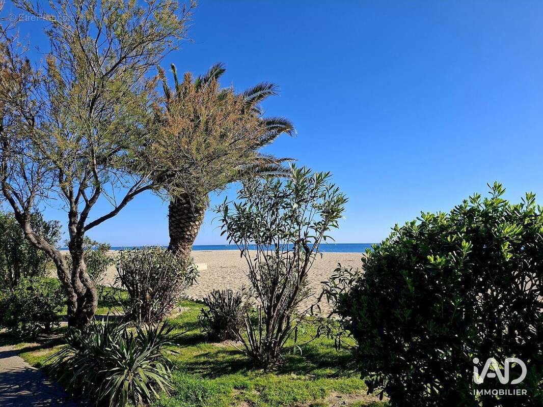 Photo 4 - Commerce à ARGELES-SUR-MER