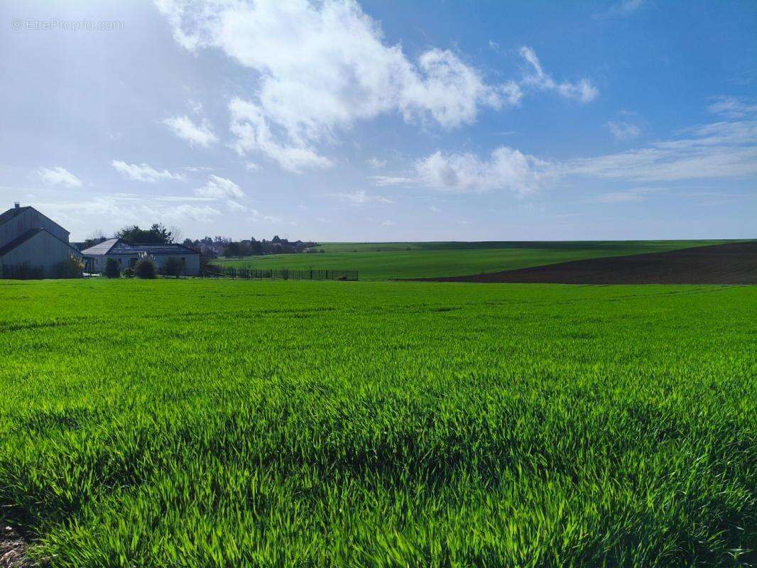 Terrain à VAUDEMANGE