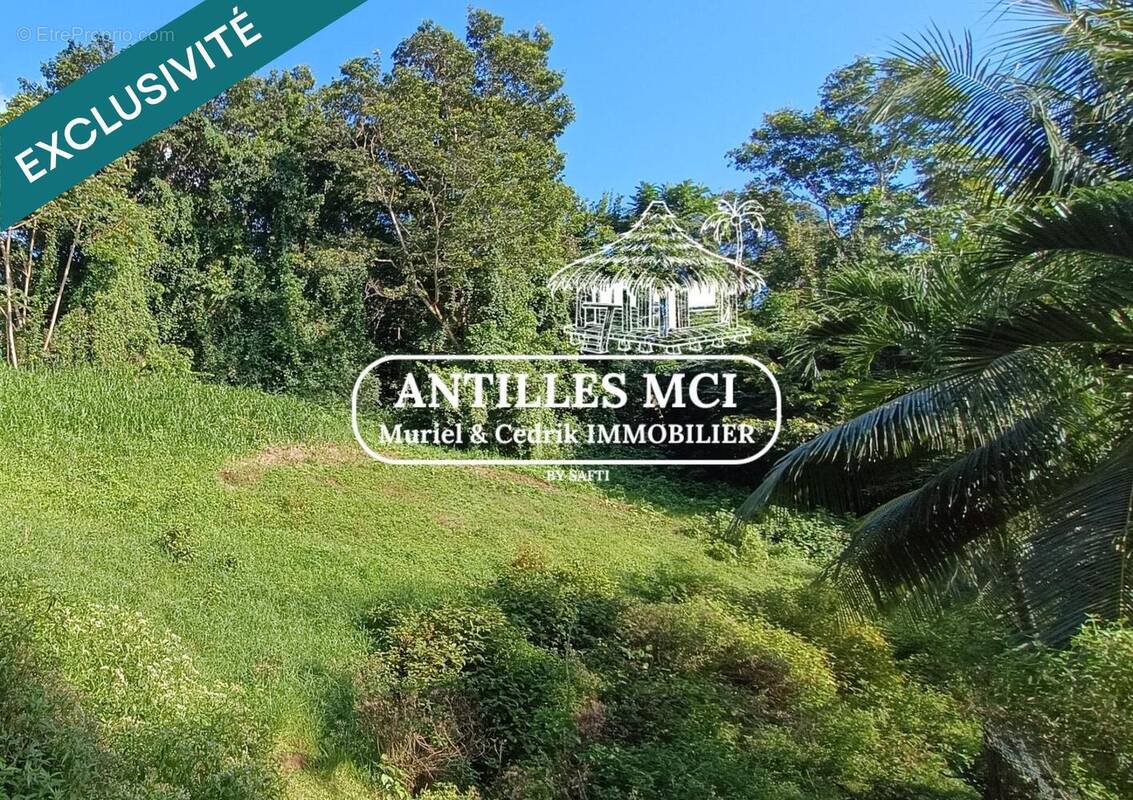 Photo 1 - Terrain à RIVIERE-SALEE