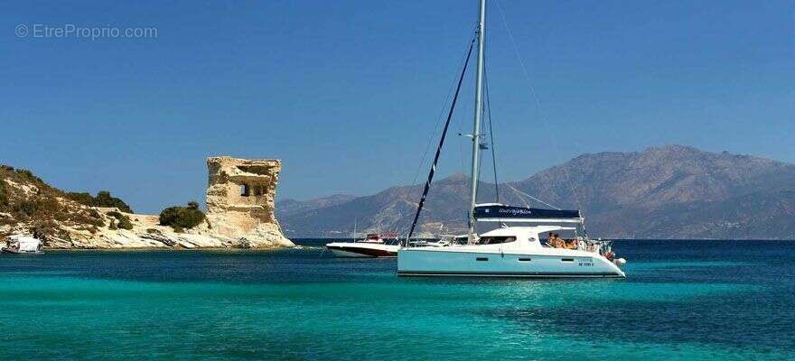 Appartement à SAN-MARTINO-DI-LOTA