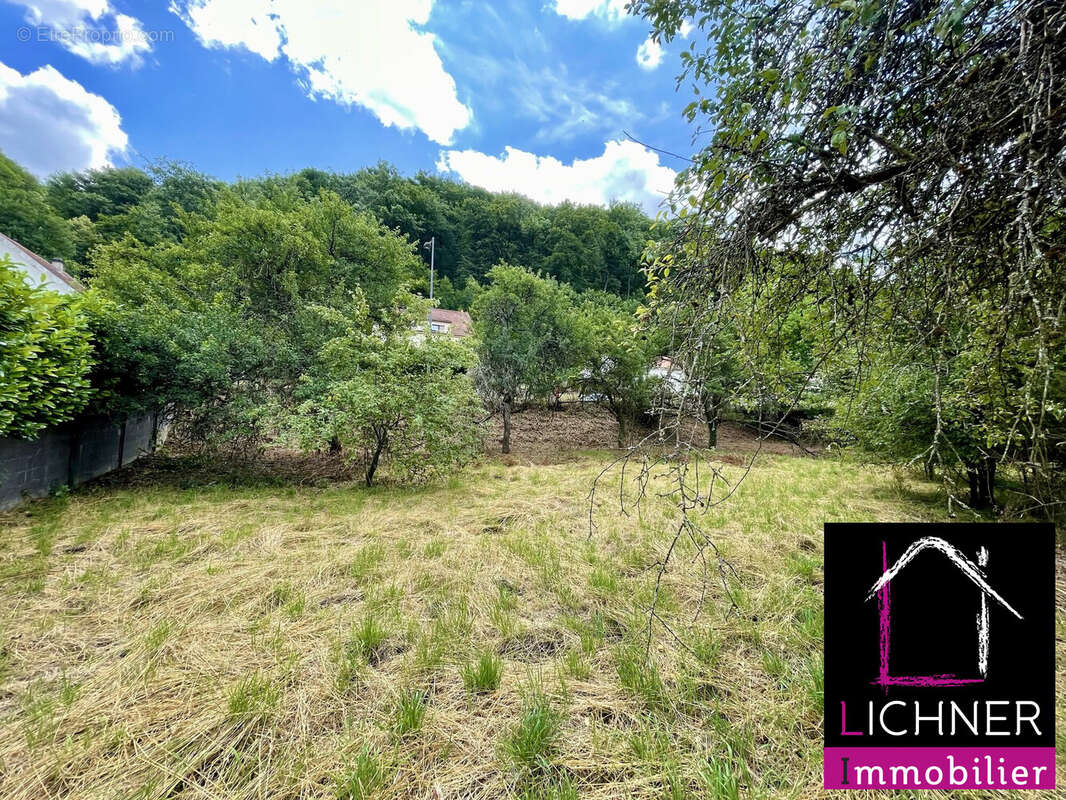 Terrain à HOMBOURG-HAUT