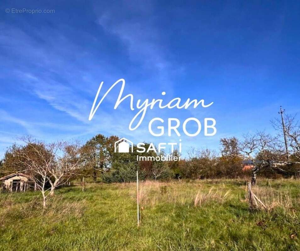 Photo 2 - Terrain à MONTAUBAN