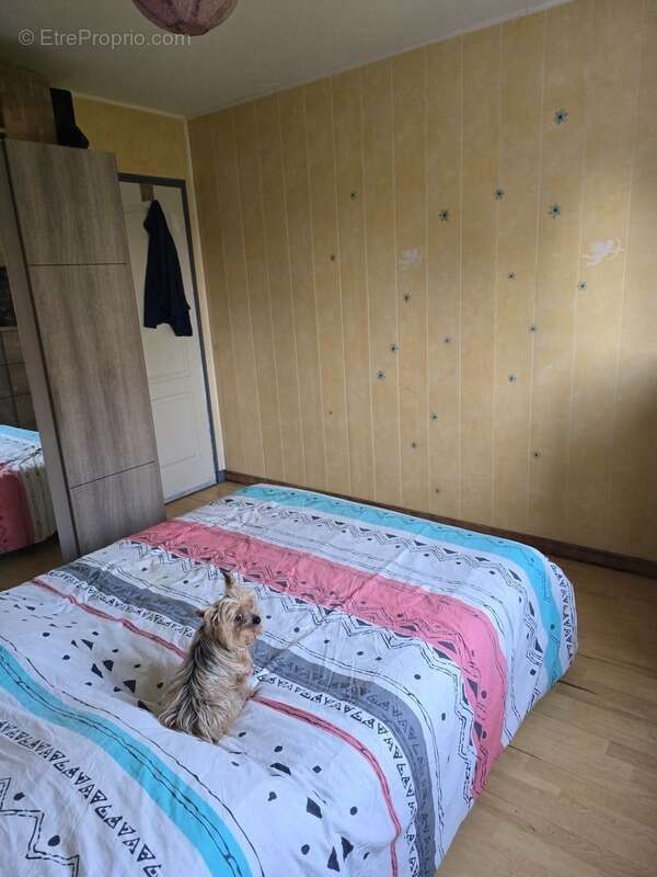 Maison à LANDERONDE