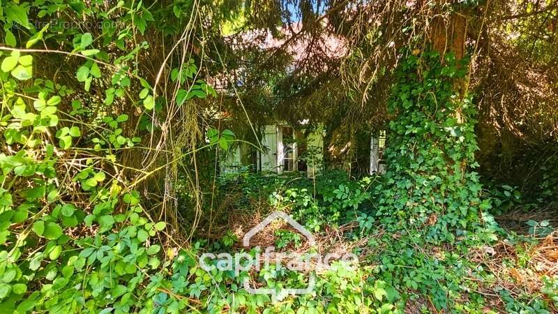 Maison à DONNEMARIE-DONTILLY