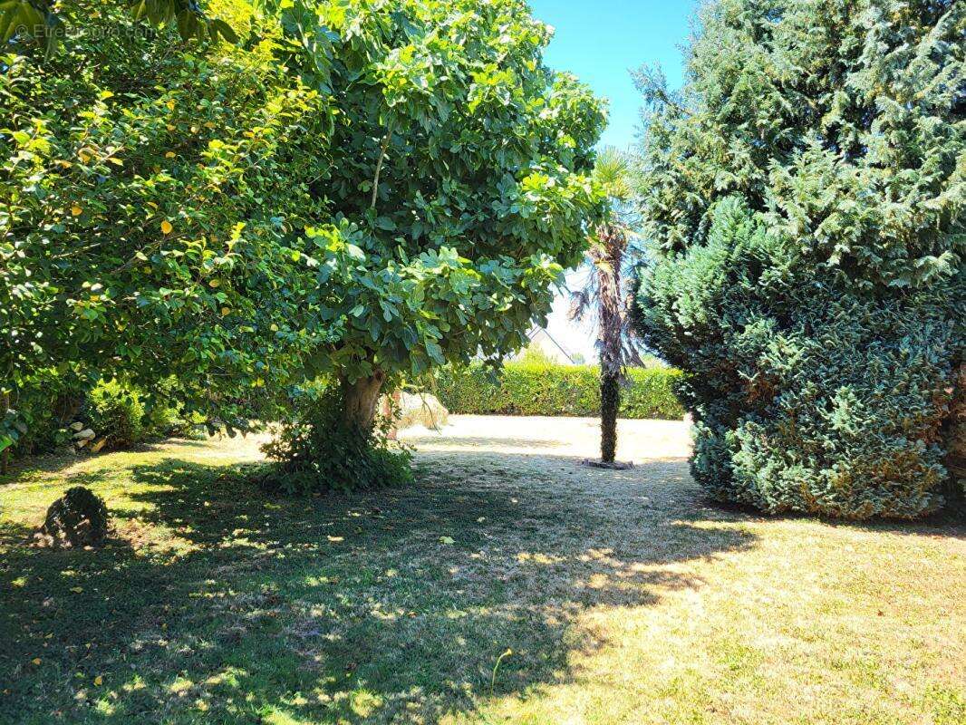 MAISON PLOUHINEC - 5 pièce(s) - 120 m2 - photo 2