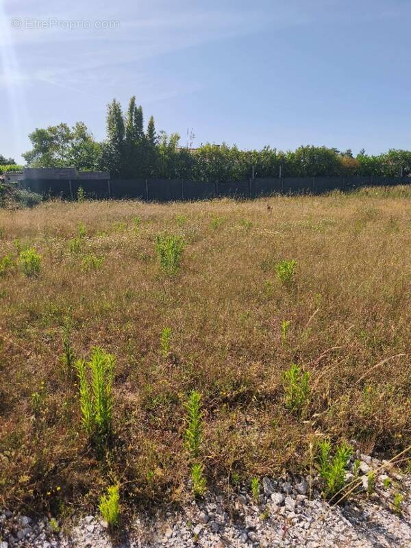 Terrain à VAUX-SUR-MER