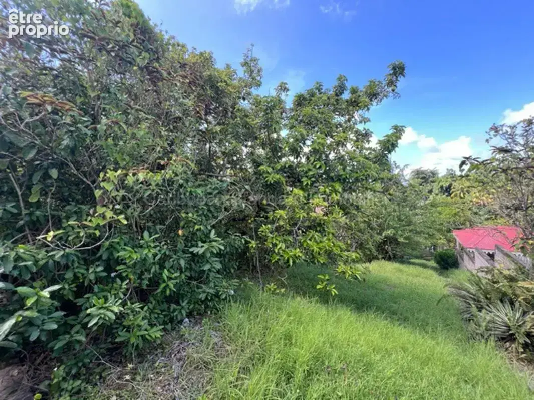 A vendre : maison t4  a renover cite etoile ste marie 97230 - photo 9