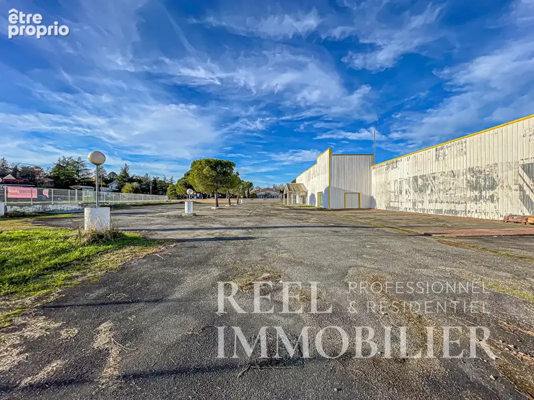 Local commercial de grande surface avec parking  - Emplacement n°1 - photo 4