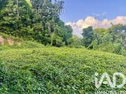 Photo 1 - Terrain à LES ABYMES