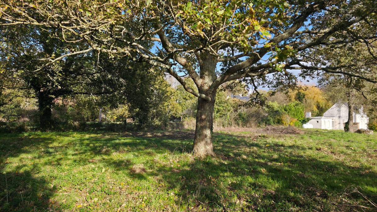 Terrain à SAINT-JOACHIM