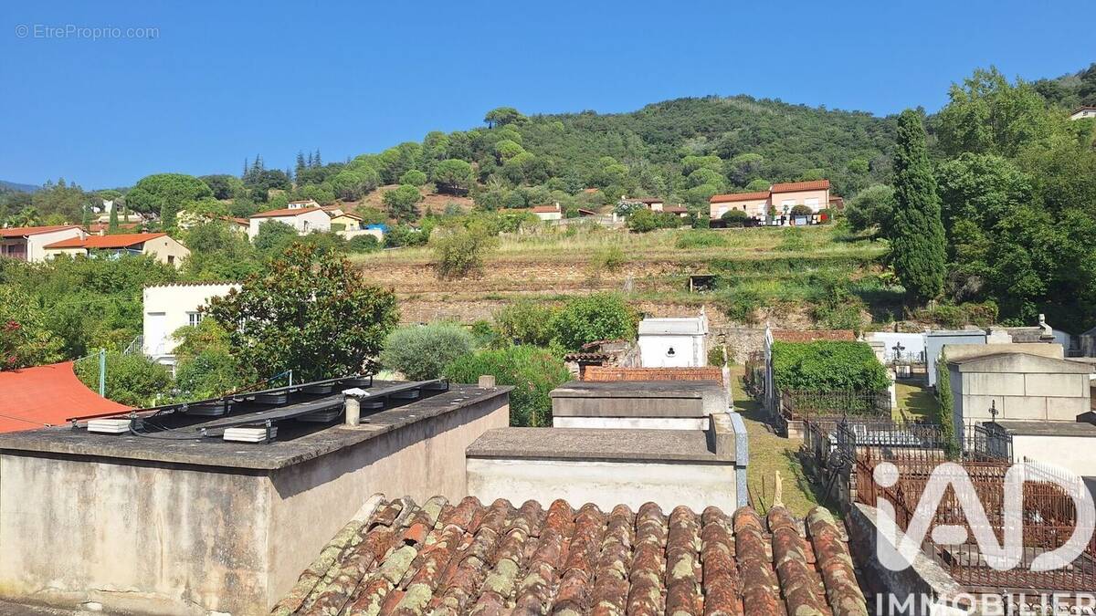 Photo 1 - Appartement à ARLES-SUR-TECH