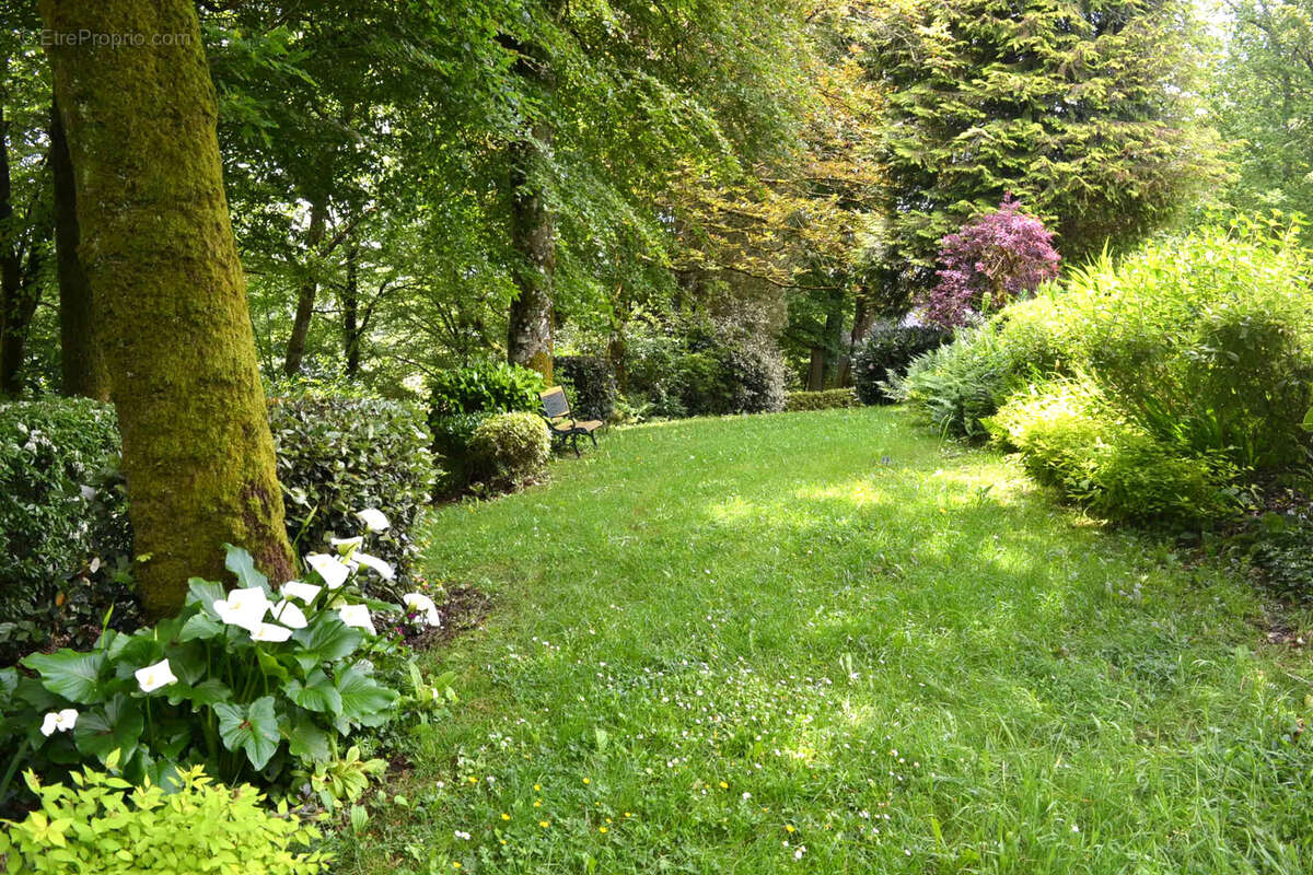 Maison à PLOUAY