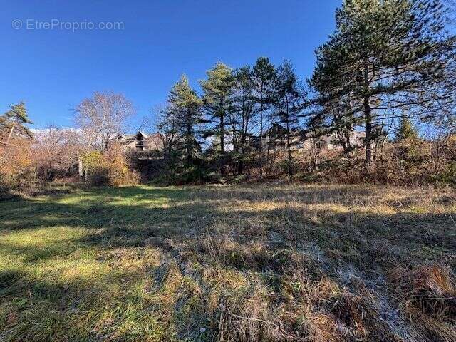 Terrain à SAINT-SAUVEUR