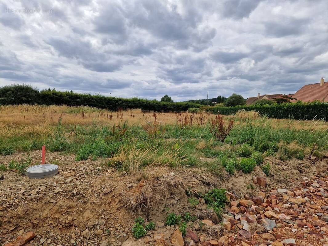 Terrain à NEUFCHATEL-EN-SAOSNOIS