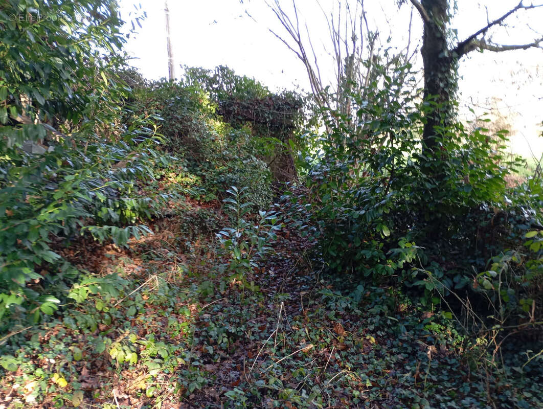 Terrain à LE TEILLEUL