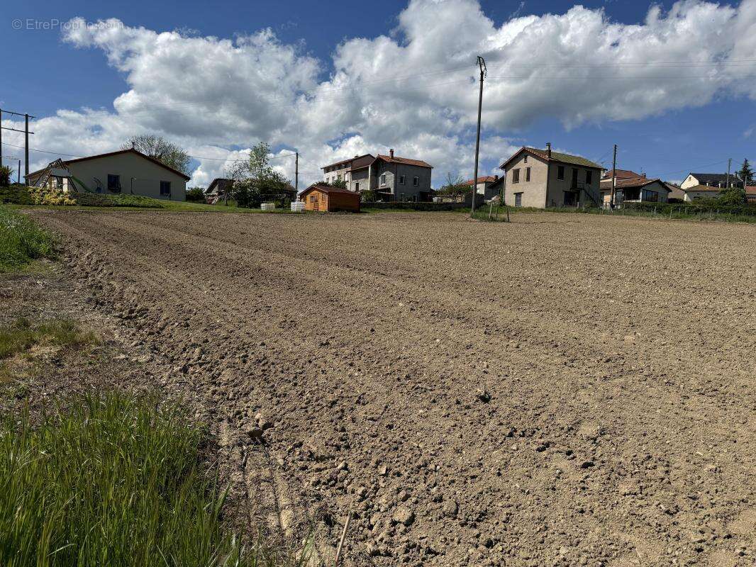 Terrain 1 339 m² à vendre à Cremeaux (42260) - photo 6