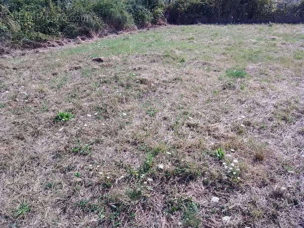 Terrain à CRUX-LA-VILLE