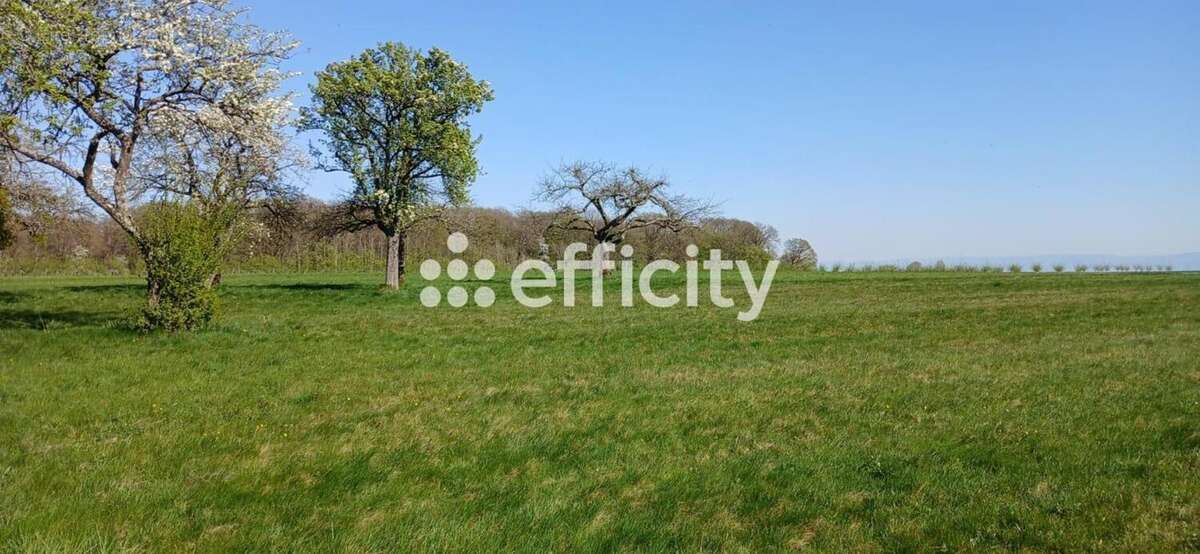 Terrain à DRACHENBRONN-BIRLENBACH