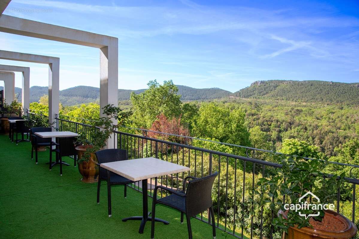 Maison d'hôtes de charme avec piscine à vendre à BAGNOLS EN FORET (83) - photo 3