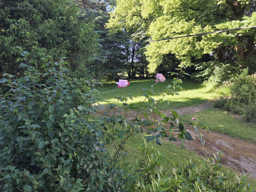Superbe maison de Maître avec ses dépendances au coeur de la nature du Lot et Garonne - photo 46