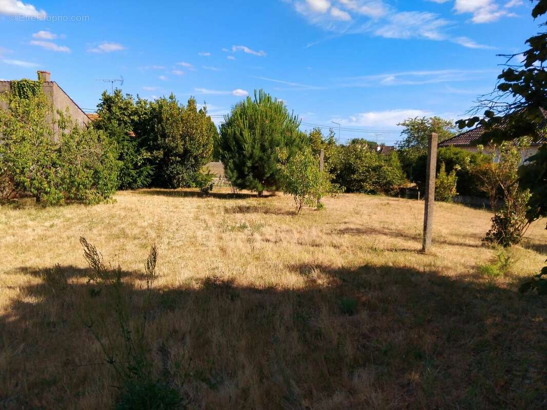 Terrain à CLERY-SAINT-ANDRE