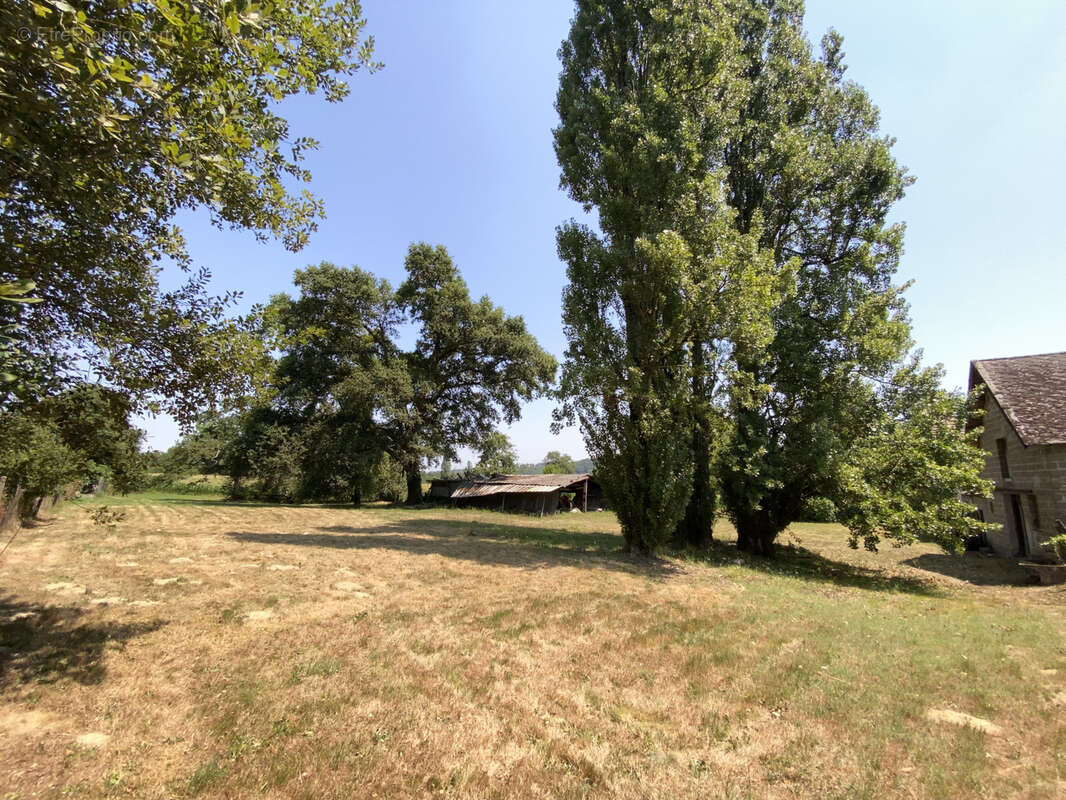 Ferme 10 hectares Monein - photo 18