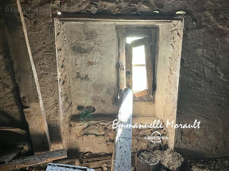 Commerce à BAGNOLS-EN-FORET