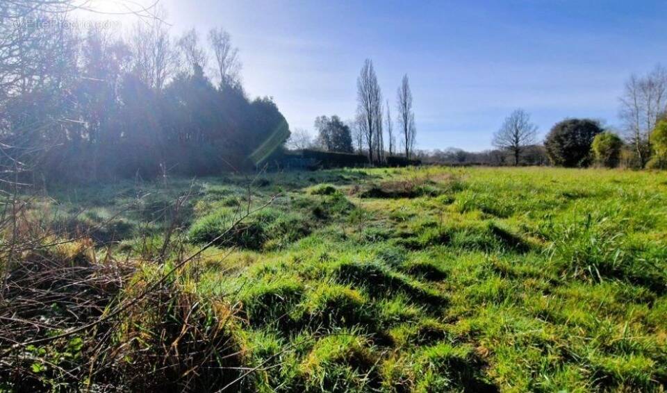 Terrain à SAINT-BREVIN-LES-PINS