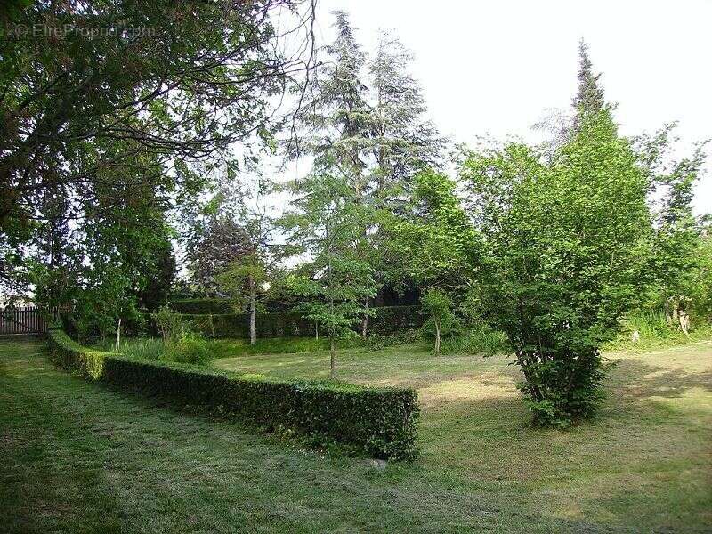 Terrain à BRUGUIERES