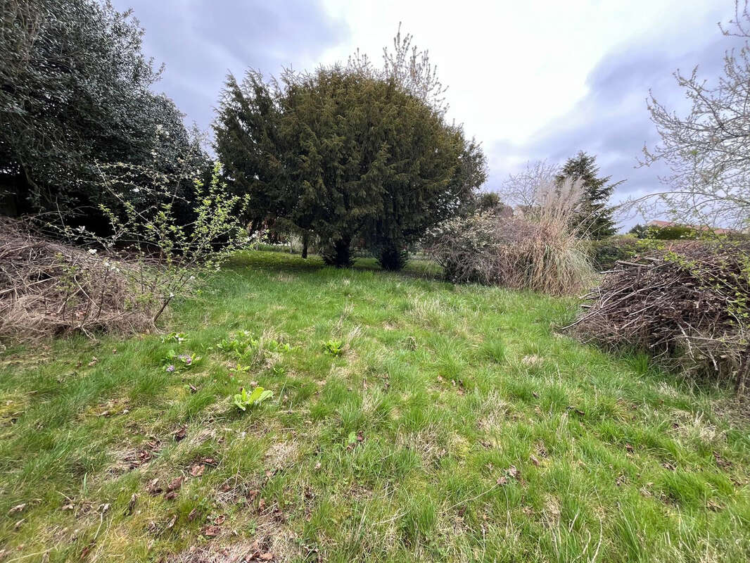 Guignes (77390) — Terrain à bâtir de 334 m2 — Zone constructible - photo 6