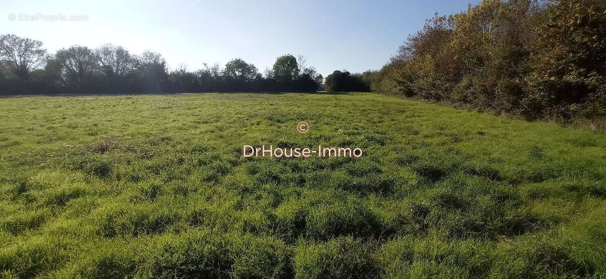 Maison 600 m² à Commequiers  - photo 28
