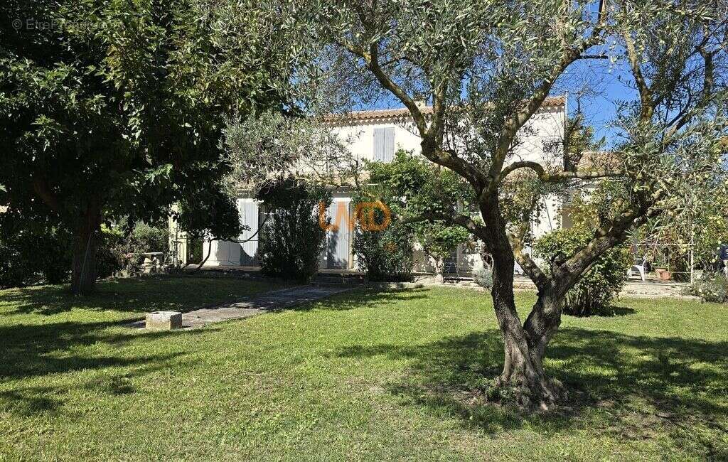 Maison à L&#039;ISLE-SUR-LA-SORGUE