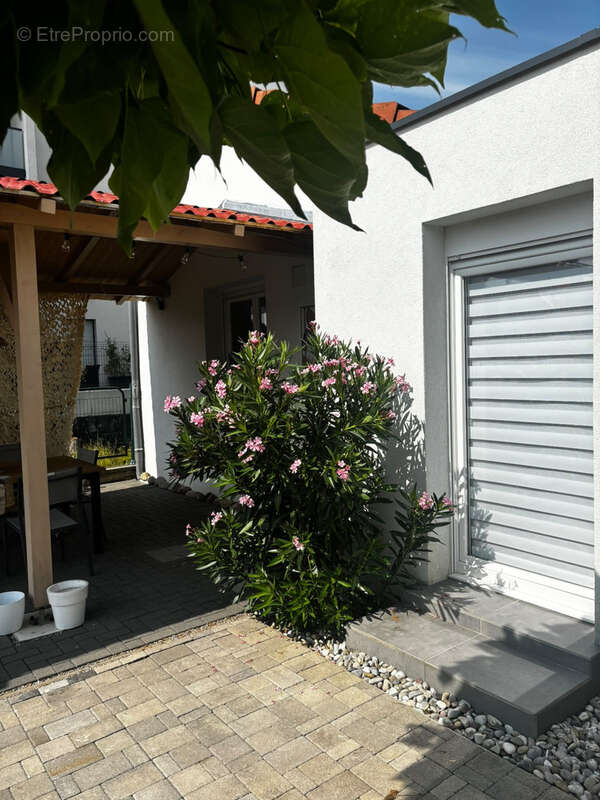 Maison à Saint-Louis - photo 14