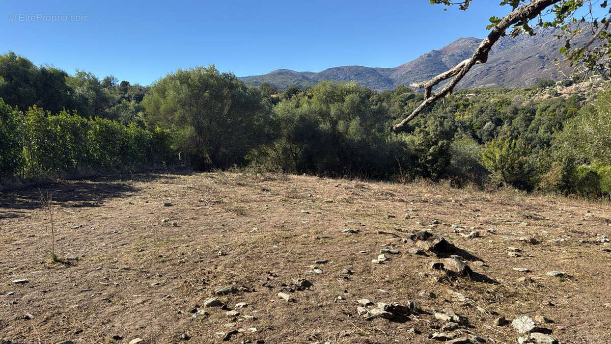 Terrain à RAPALE