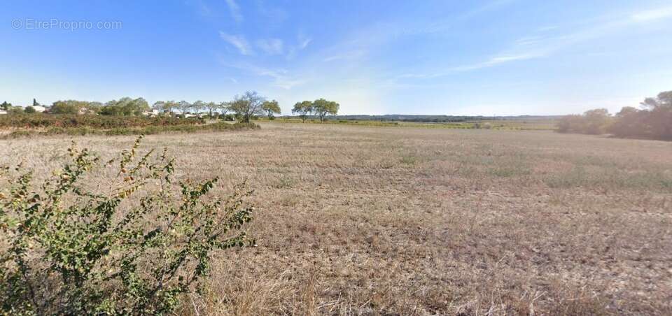 Terrain à ALIGNAN-DU-VENT
