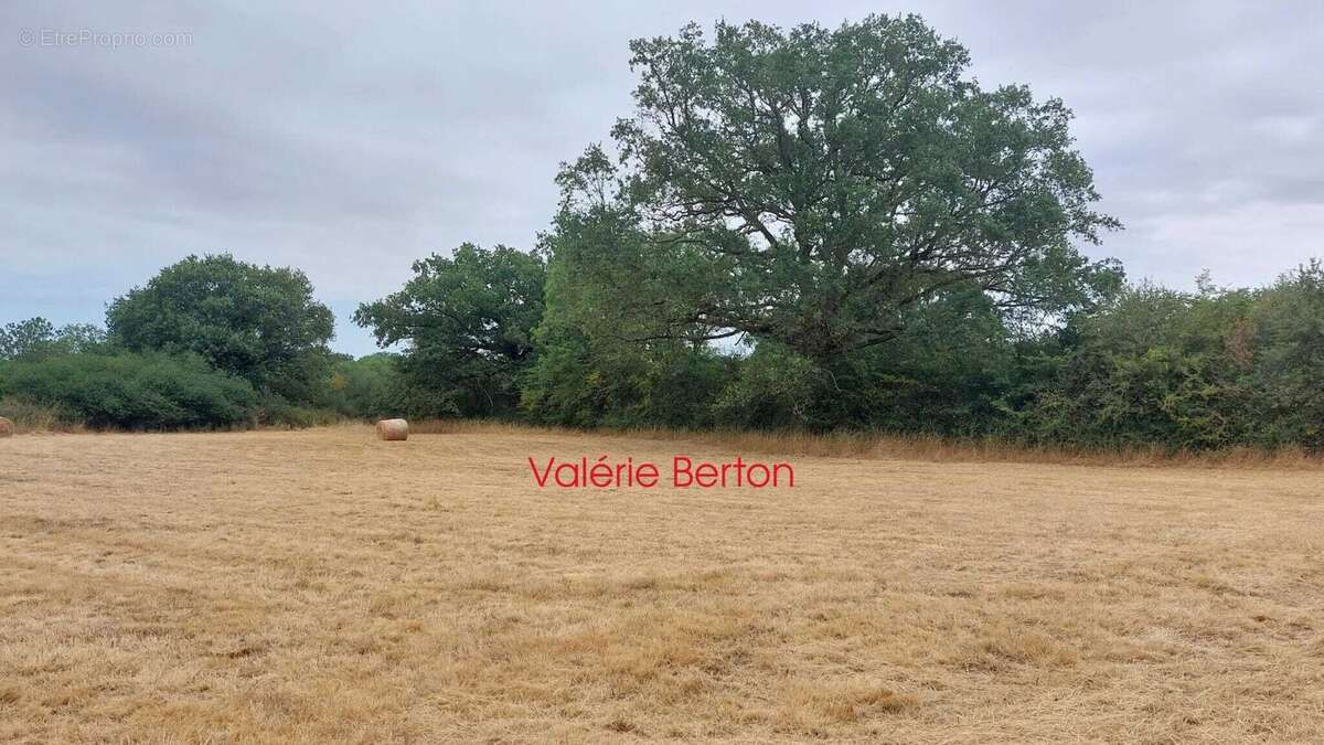 Terrain 4920 m² à Bouesse  - photo 2