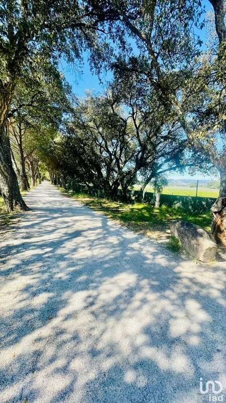 Photo 2 - Appartement à LA LONDE-LES-MAURES