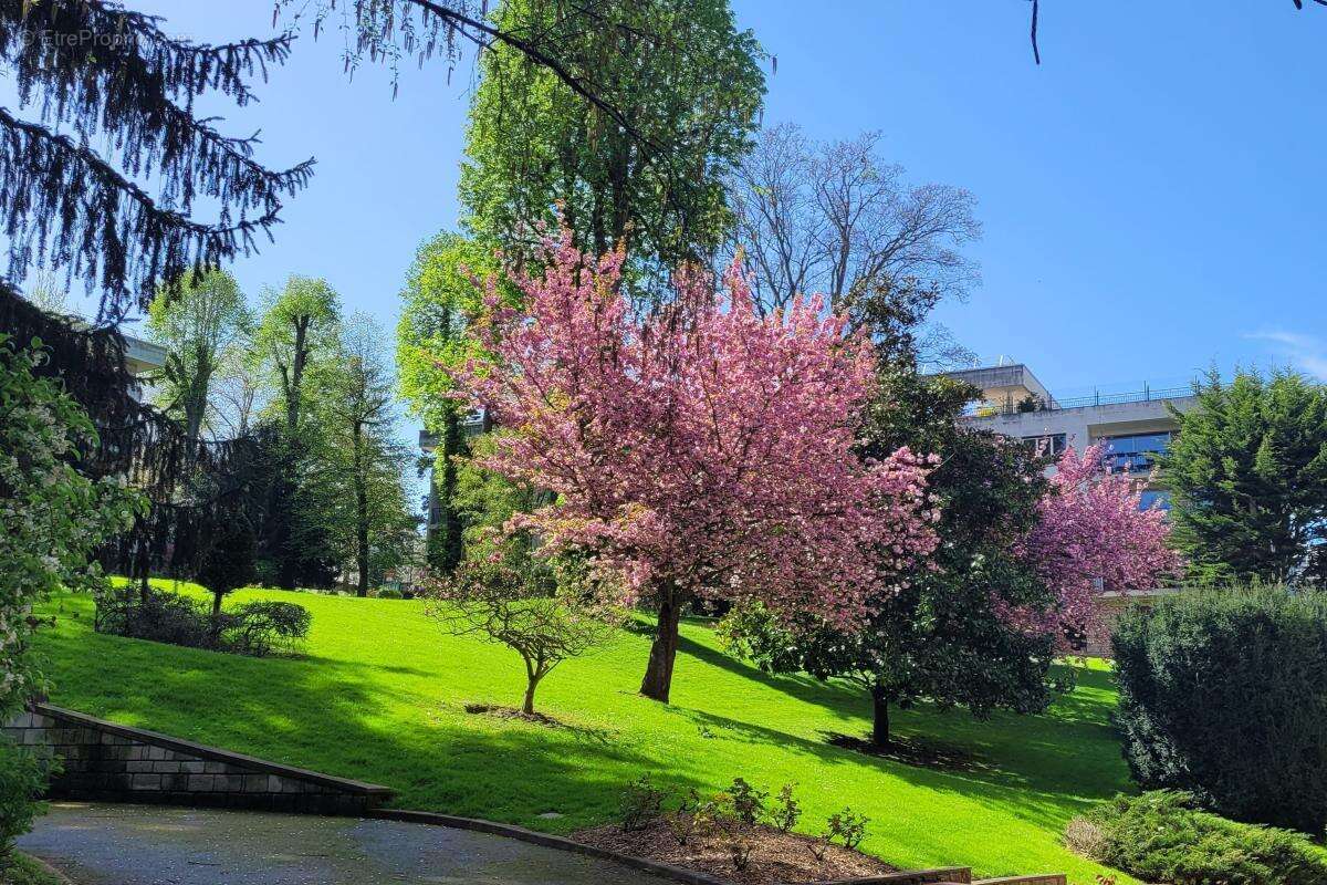 Appartement à VILLE-D'AVRAY