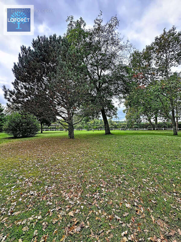 Appartement à L&#039;ISLE-ADAM