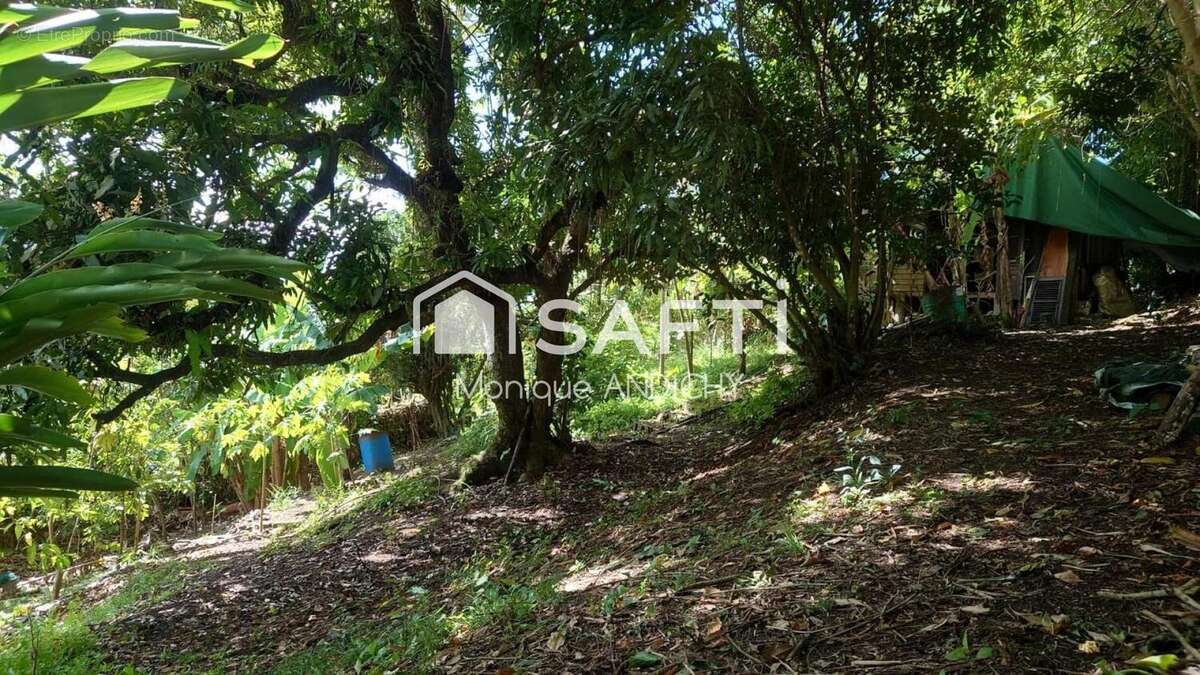 Photo 2 - Terrain à FORT-DE-FRANCE