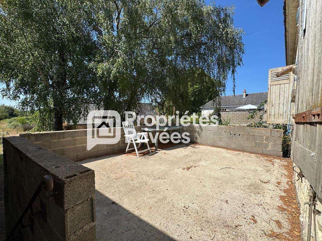 A VENDRE 37140 COTEAUX SUR LOIRE  Ingrandes de Touraine Maison/corps de ferme 95M² possibilité achat 10 000 M² chevaux - photo 3