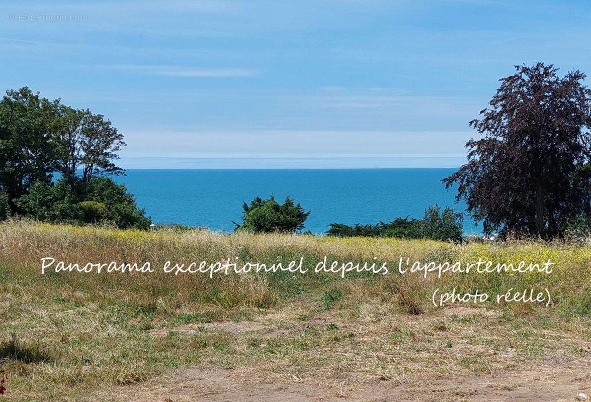 Appartement - photo 5